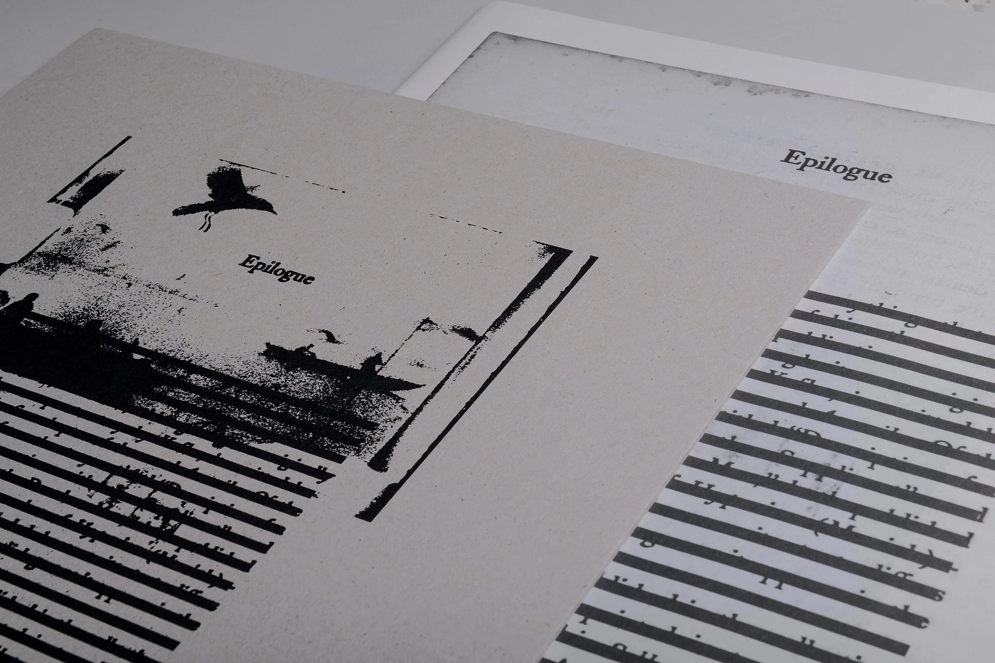 Michael Ackerman – Epilogue 1st EDITION — Void